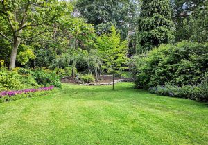 Optimiser l'expérience du jardin à Nainville-les-Roches
